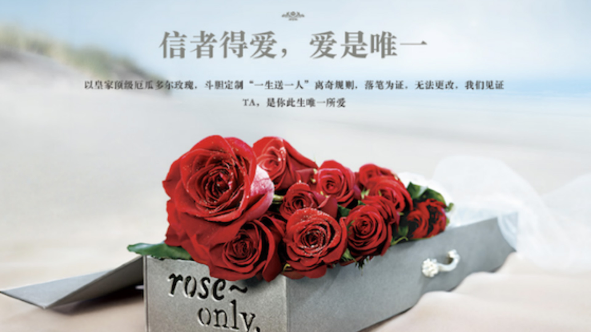 roseonly 花店品牌設(shè)計 花店vi設(shè)計 花店logo設(shè)計.jpg